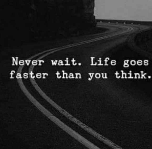 Meet your Posher, Trinity - Picture 1 of 1